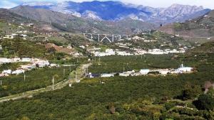 Subtropicales en el valle del río Verde. 