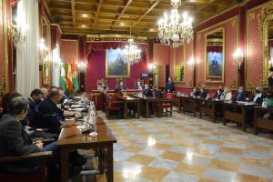 Pleno extraordinario del Ayuntamiento de Granada.