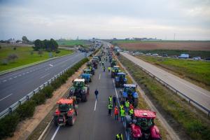 Tractores en una de las protestas de los agricultores, en una imagen de archivo.