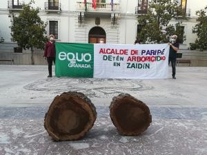 Equo llevó restos de la tala a la Plaza del Carmen.