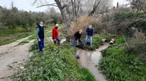 Reparto de los caudales provenientes del Caz Mayor tras su corte.