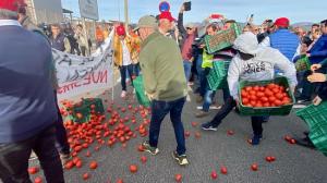 Agricultores tiran tomates durante una protesta en el Puerto de Motril en febrero.