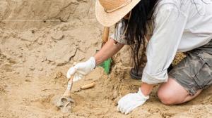 Trabajos de arqueología.