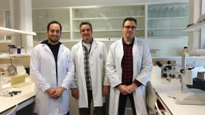 De izquierda a derecha, los investigadores que participan en este trabajo: Miguel Ángel Tejada, Cruz Miguel Cendán y Francisco Nieto.