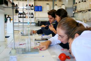 Investigación en la Universidad de Granada. 