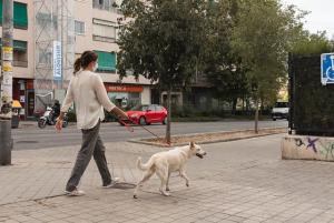 Una chica pasea a su perro por Fuentenueva. 