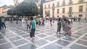 'Velada por la justicia' del personal docente interino ante el TSJA.