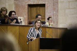 Mar Sánchez en una intervención en el Parlamento.