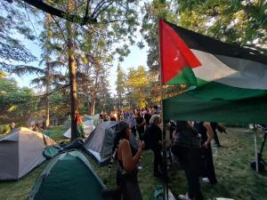 Acampada de estudiantes dela UGR en el Campus de Fuentenueva.