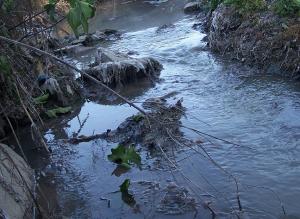 Aguas fecales en Cijuela.