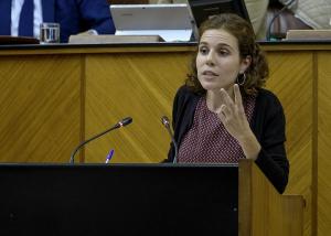 Ana Villaverde en una intervención en el Parlamento.