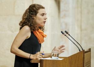 Ana Villaverde en una intervención en el Parlamento.