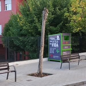 Árbol seco en una calle de Granada.