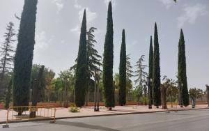 En Arabial, según Unidas Podemos, se han talado 22 árboles.