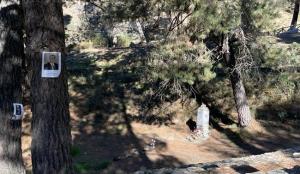 Barranco de Víznar, en una imagen de diciembre pasado, antes de comenzar la nueva búsqueda de víctimas.