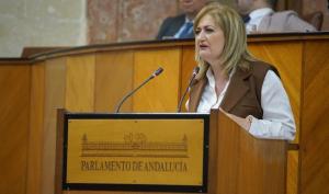 Celia Santiago, en una intervención en comisión del Parlamento andaluz.