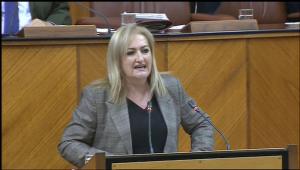 Celia Santiago, en una intervención en comisión del Parlamento andaluz.