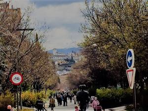 Avenida de la Constitución.