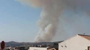 Imagen del incendio registrado el mes pasado junto a la Carretera de Murcia.
