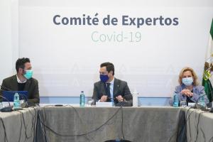 Moreno, durante la reunión del Comité de expertos que asesora la Junta.