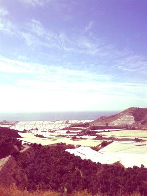 Panorámica de la Costa Oriental desde la Autovía.