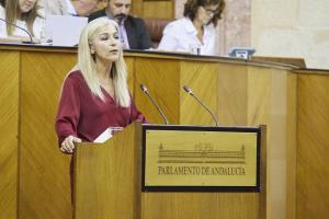 Patricia del Pozo en una imagen de archivo en el Parlamento.