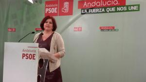 Elvira Ramón, en rueda de prensa.