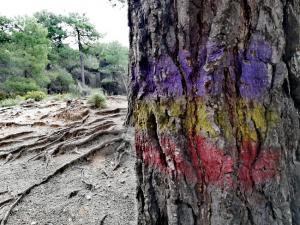 Entorno del Barranco de Víznar.