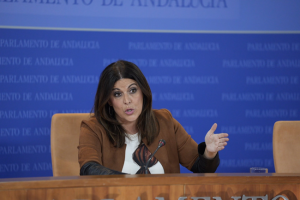 La portavoz parlamentaria del PSOE-A, Ángeles Férriz, en rueda de prensa. 