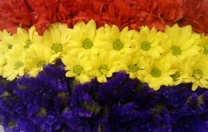 Flores que forman los colores de la bandera republicana.