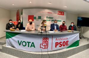 Representante socialistas de la comarca de Guadix, este viernes en rueda de prensa.