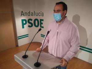 Álex Casares, secretario de Organización del PSOE granadino.