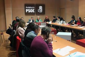 Reunión de la Ejecutiva del PSOE de Granada este lunes.