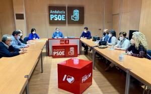 Encuentro del PSOE con representantes de sindicatos sanitarios.