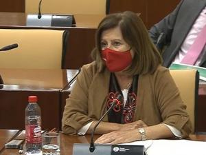 María José Sánchez, en el Parlamento.