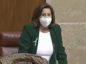 María José Sánchez, en el Parlamento.