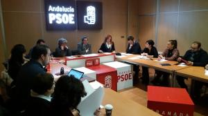 Reunión de la dirección provincial del PSOE.