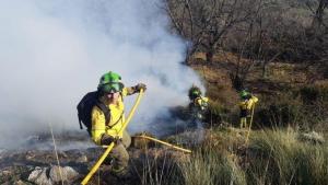 Bomberos forestales actúan contra un fuego en Cáñar. 