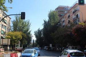 Árboles en la antigua Carretera de Málaga. 