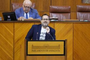 El portavoz del Grupo Mixto-AdelanteAndalucía. En segundo plano, el presidente del Parlamento.