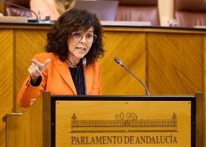 María Ángeles Prieto, esta semana en el Parlamento.