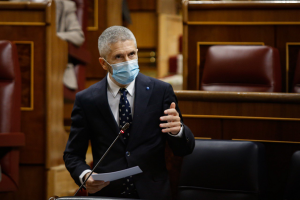 El ministro Fernando Grande-Marlaska, durante su intervención.