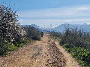 La iniciativa pide adecentar el sendero.