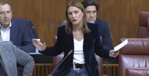 Olga Manzano, durante su  intervención en el pleno del Parlamento.