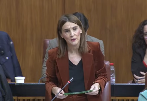 Olga Manzano, en el Parlamento andaluz, en una imagen de archivo.