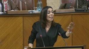 La parlamentaria de Cs Teresa Pardo durante su intervención.