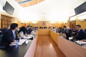 Pleno de la diputación en Guadix. 