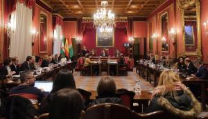 Pleno del Ayuntamiento de Granada el pasado viernes.
