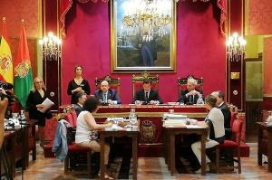 Pleno del Ayuntamiento de Granada.
