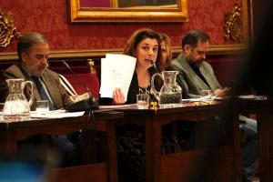 Raquel Ruz, en el pleno de este viernes.